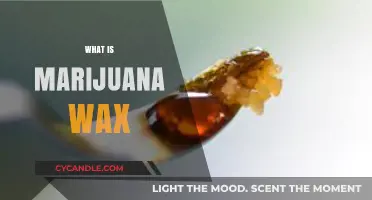 Exploring the Sticky Side: What is Marijuana Wax?