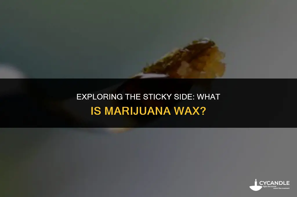 what is marijuana wax