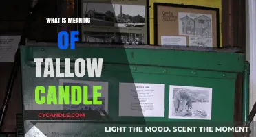 Understanding the Meaning and Uses of Tallow Candles in History