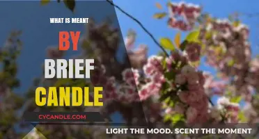 The Brief Candle: Unraveling Life's Fleeting Nature and Meaning