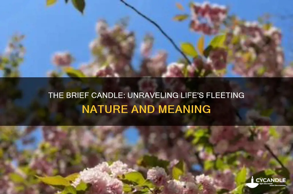 what is meant by brief candle