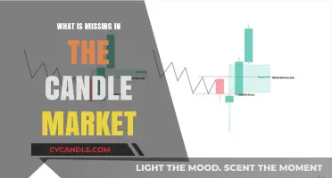 Unveiling the Gaps: What’s Missing in Today’s Candle Market?