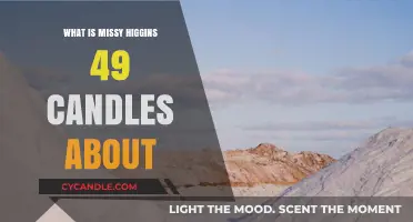 Missy Higgins' 49 Candles: Unveiling the Meaning Behind the Song