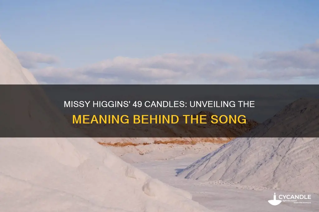 what is missy higgins 49 candles about