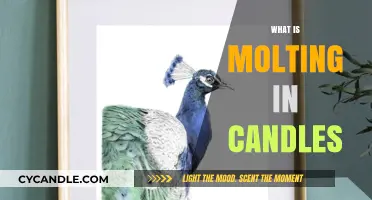 Understanding Molting in Candles: Causes, Effects, and Prevention Tips