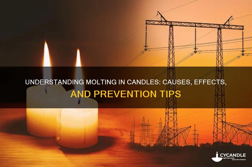 what is molting in candles