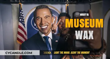 Unveiling the Artistry: What Museum Wax Figures Entail
