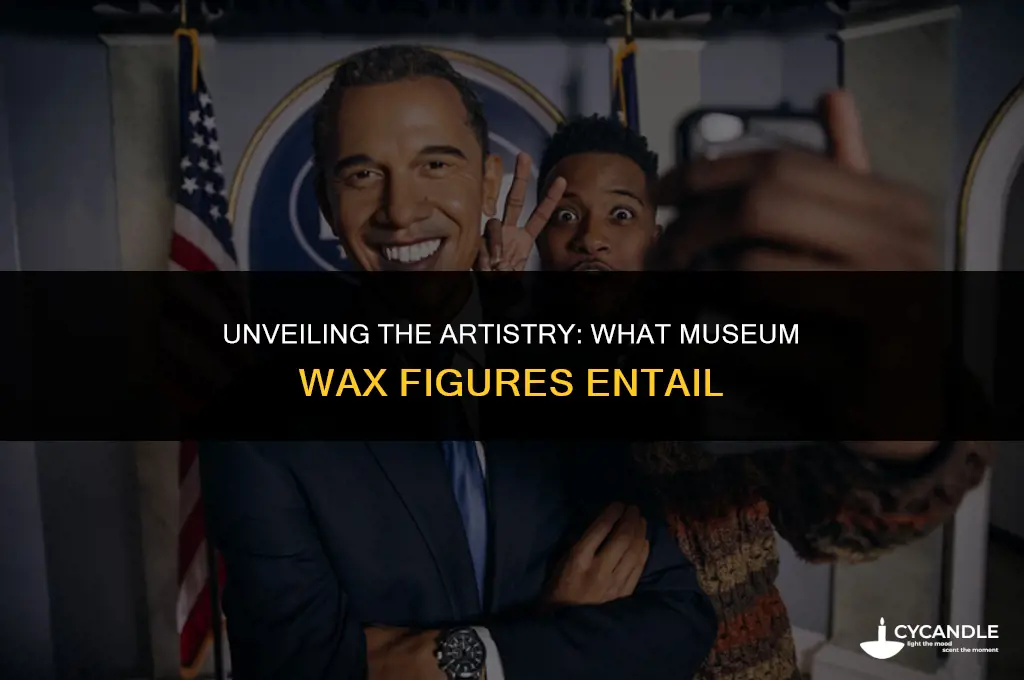 what is museum wax