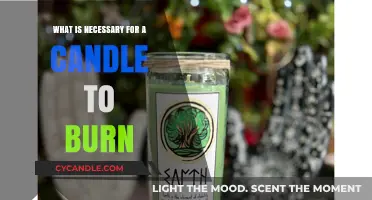 Essential Elements for a Candle to Burn: Fuel, Oxygen, and Heat