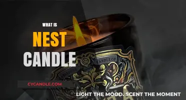Discover the Warmth and Elegance of Nest Candles: A Guide