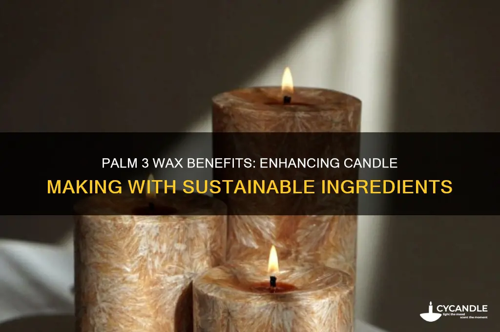 what is palm 3 used for in candle making