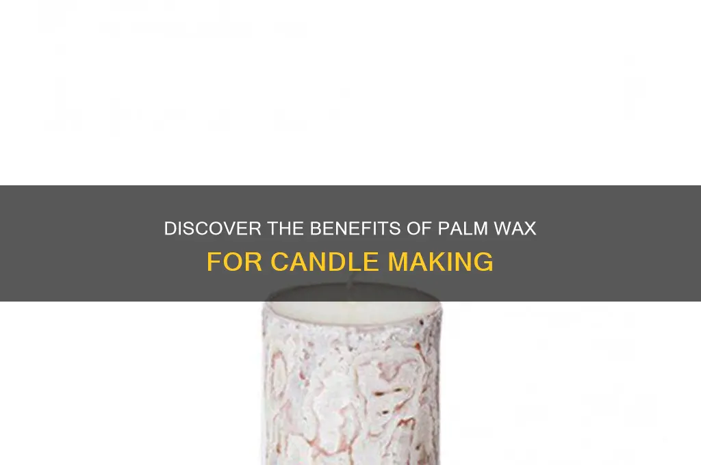 what is palm wax for candles