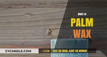 Exploring the Versatility and Uses of Palm Wax