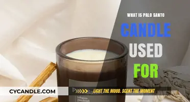 Palo Santo Candle Benefits: Aromatherapy, Spiritual Cleansing, and Relaxation Uses