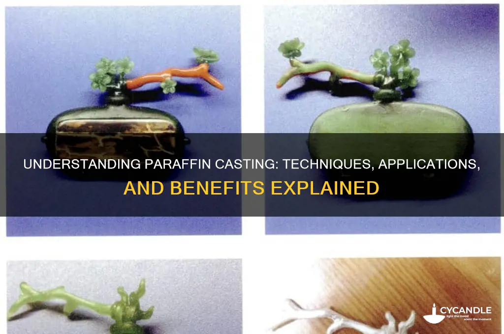 what is paraffin casting