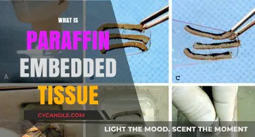 Understanding Paraffin Embedded Tissue: A Comprehensive Guide for Researchers