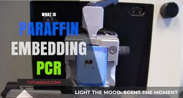 Understanding Paraffin Embedding PCR: A Comprehensive Guide to Tissue Analysis