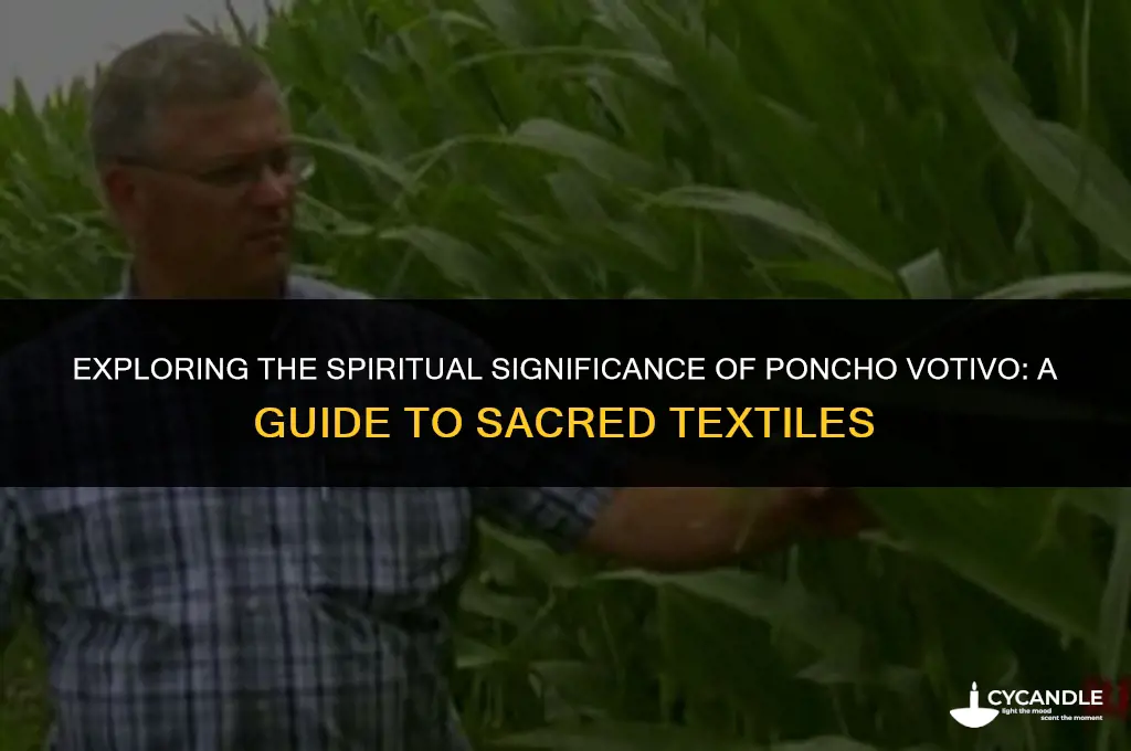 what is poncho votivo