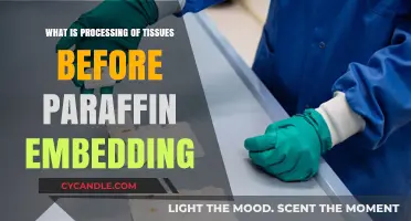 Tissue Processing for Paraffin Embedding: Essential Steps Explained