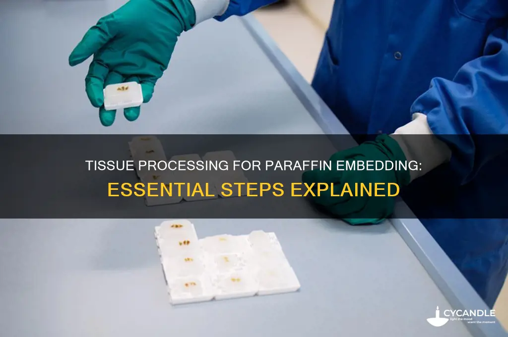 what is processing of tissues before paraffin embedding