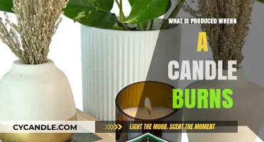 The Science Behind Candle Burning: Products and Processes Explained