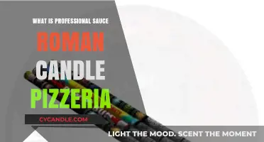 Professional Sauce Roman Candle Pizzeria: A Unique Culinary Experience Explained