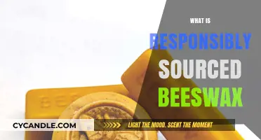 Sustainable Beekeeping: Understanding Responsibly Sourced Beeswax and Its Benefits