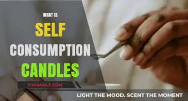 Understanding Self-Consumption Candles: Eco-Friendly Lighting for Sustainable Living