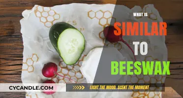 Natural Alternatives to Beeswax: Sustainable and Vegan-Friendly Options Explained