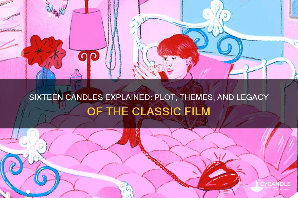 what is sixteen candle about