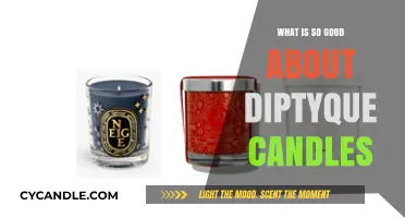 Why Diptyque Candles Are Worth the Hype: A Luxurious Experience