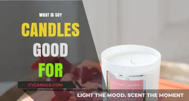 Soy Candles: Eco-Friendly Benefits, Aromatherapy, and Clean Burning Explained