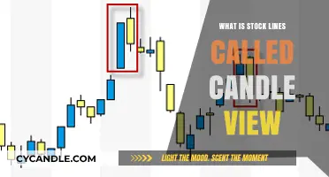 Understanding Stock Market Candlestick Charts: A Beginner's Guide to Candle View