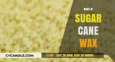 Discover Sugar Cane Wax: Eco-Friendly, Sustainable, and Versatile Alternative