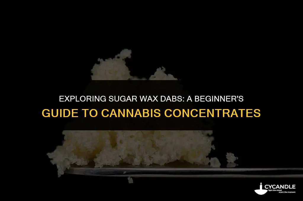 what is sugar wax dabs