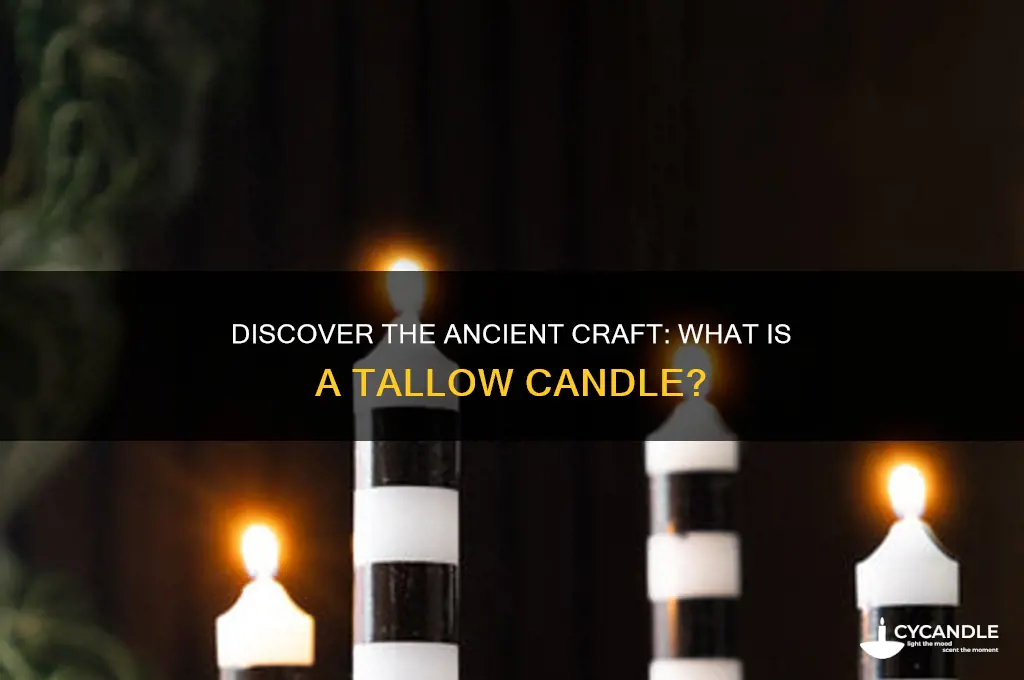 what is tallow candle