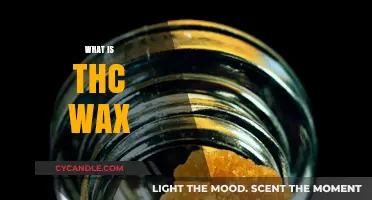 Exploring THC Wax: A Comprehensive Guide to Cannabis Concentrates