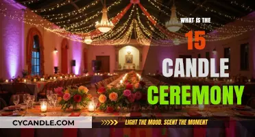 Understanding the Symbolic Quinceanera 15 Candle Ceremony Tradition