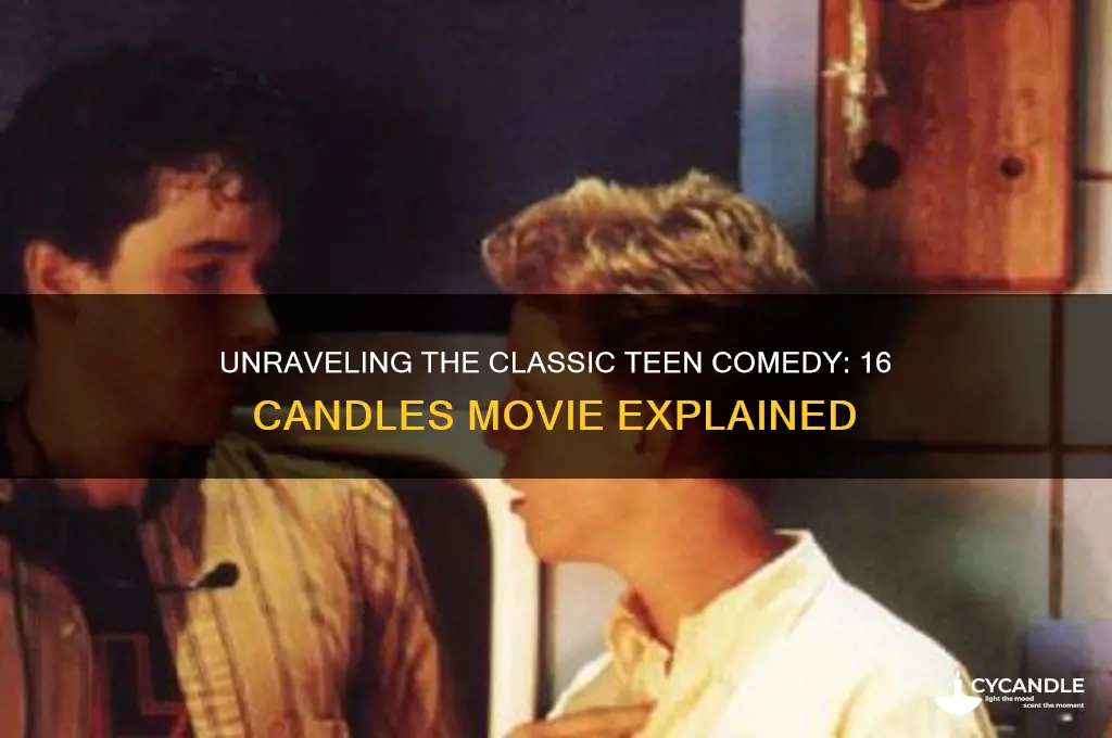 what is the 16 candles movie about
