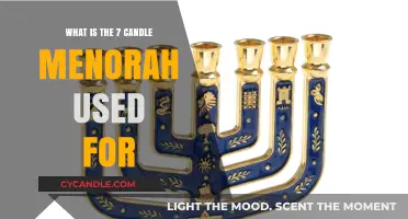 Understanding the Purpose of the Seven-Candle Menorah in Jewish Tradition
