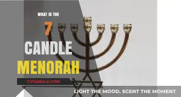 Understanding the Seven-Branched Menorah: Symbolism and Significance