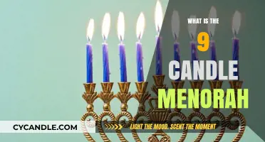 Understanding the Hanukkah Menorah: Nine Candles and Their Meaning