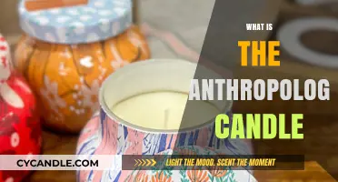 Exploring the Anthropologie Candle: A Luxurious Aromatic Experience