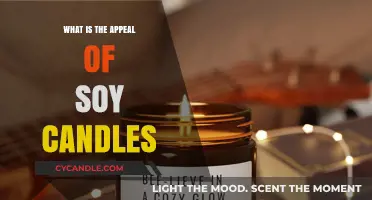 Soy Candles: Why Their Eco-Friendly Glow Captivates Modern Homes