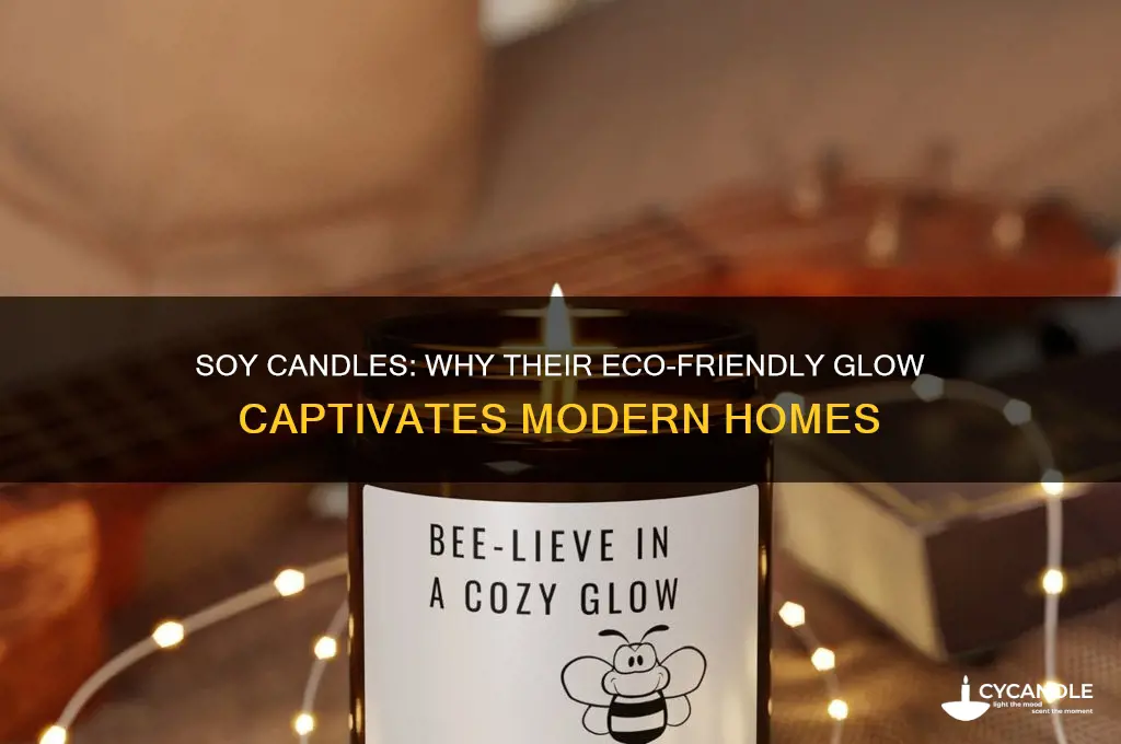 what is the appeal of soy candles