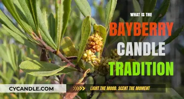 Bayberry Candles: Unveiling the Holiday Tradition's History and Meaning