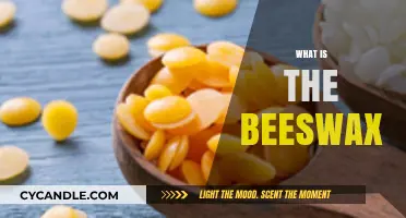 Understanding Beeswax: Uses, Benefits, and Natural Wonders Explained