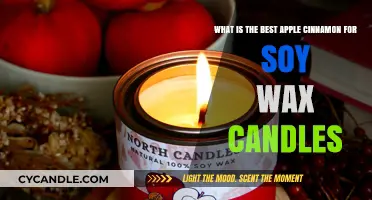 Perfect Apple Cinnamon Scent for Soy Wax Candles: Top Picks