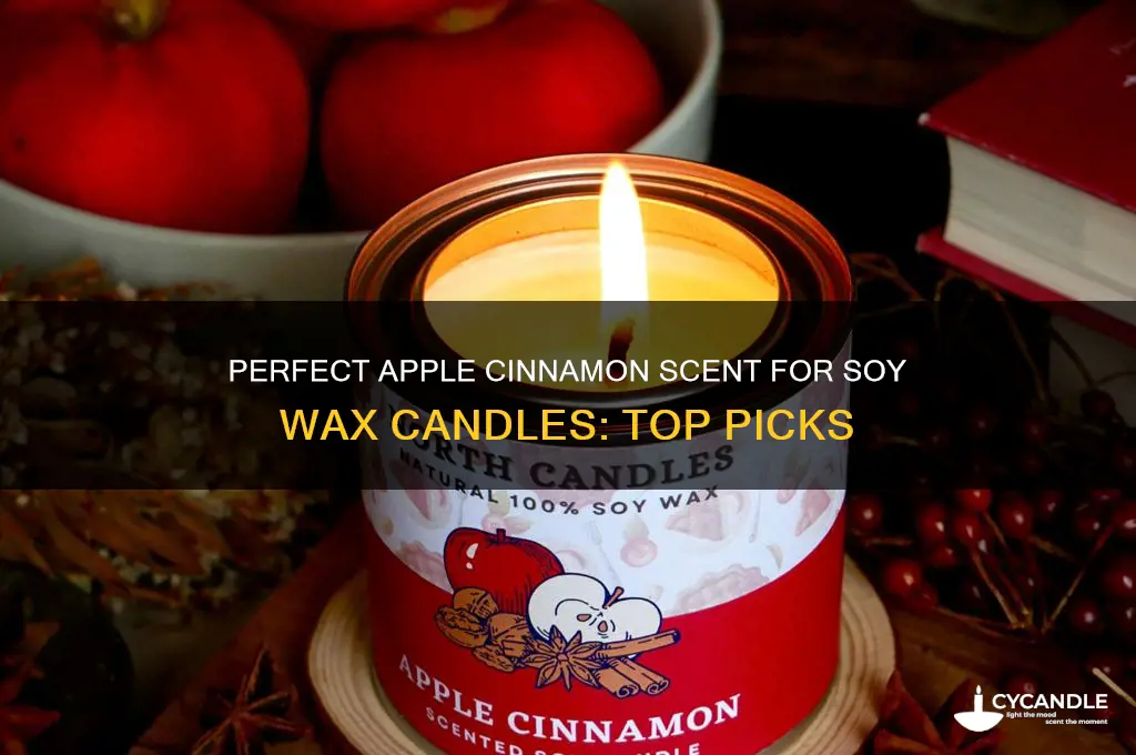 what is the best apple cinnamon for soy wax candles