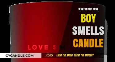 Discover the Best Boy Smells Candle for Your Home Ambiance